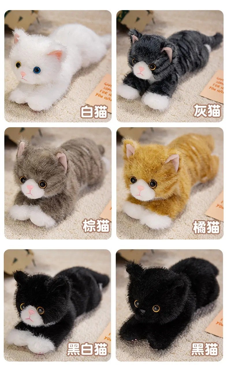 Y&D Realistic Cat Stuffed Animal Toy – Soft Plush Farm Cat for Kids, Lifelike Design, Cuddly & Huggable Plush Pet for Bedtime Comfort - Image 1