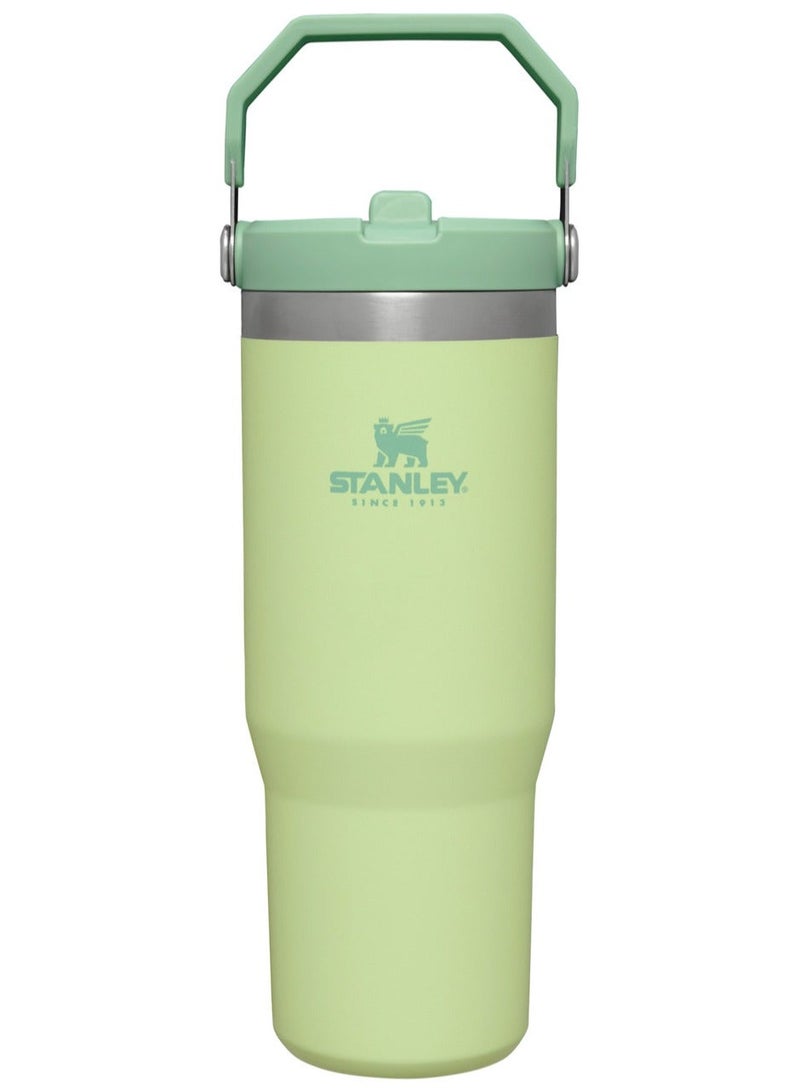 Stanley Large Capacity Insulated Water Bottle - Image 1