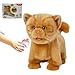 CU-MATE Electronic Walking Orange Cats Realistic Interactive Puppy Pet Toy Cat Walking BarkingWagging Tail TalkingPresent Pet Gifts for 3 Year Boys Girls - Image 2