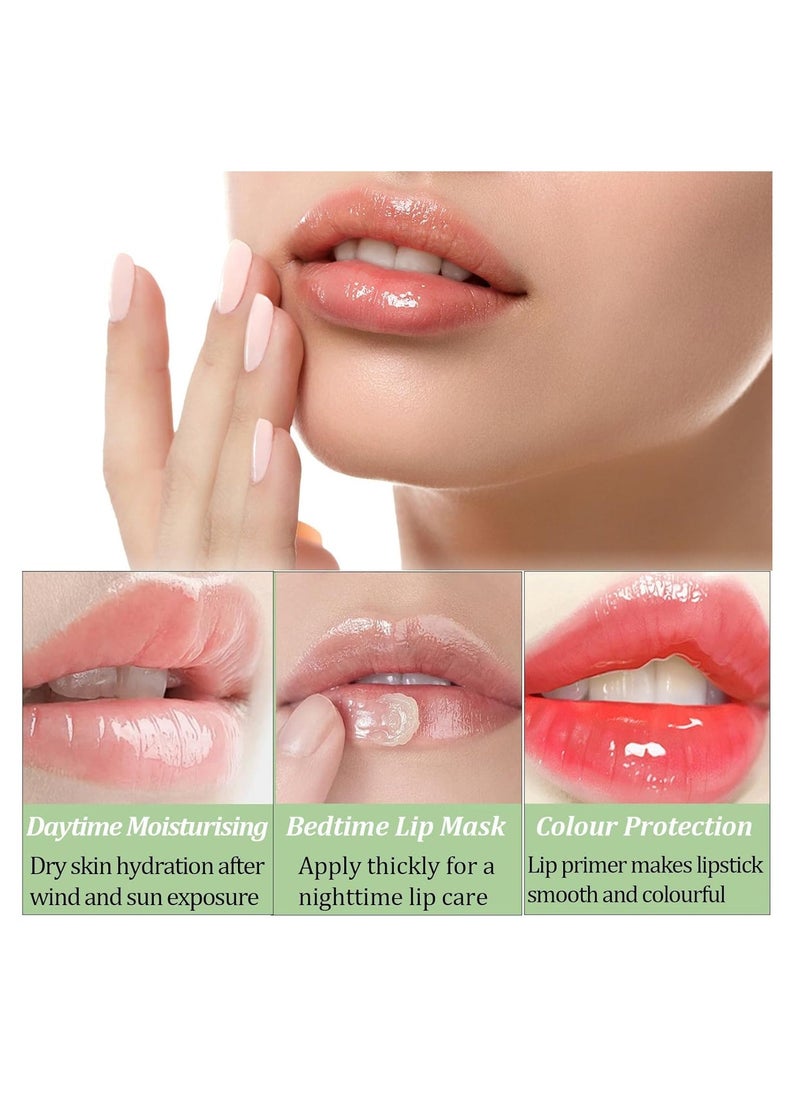 DIMSHOW - 6PCS Mini Lip Balm Set, Fruit Flavored Multipack, Moisturizing and Hydrating Lip Balm Stick, Lip Sleeping Mask for Dry and Cracked Lips, Repair and Lip Care Essentials - Image 1