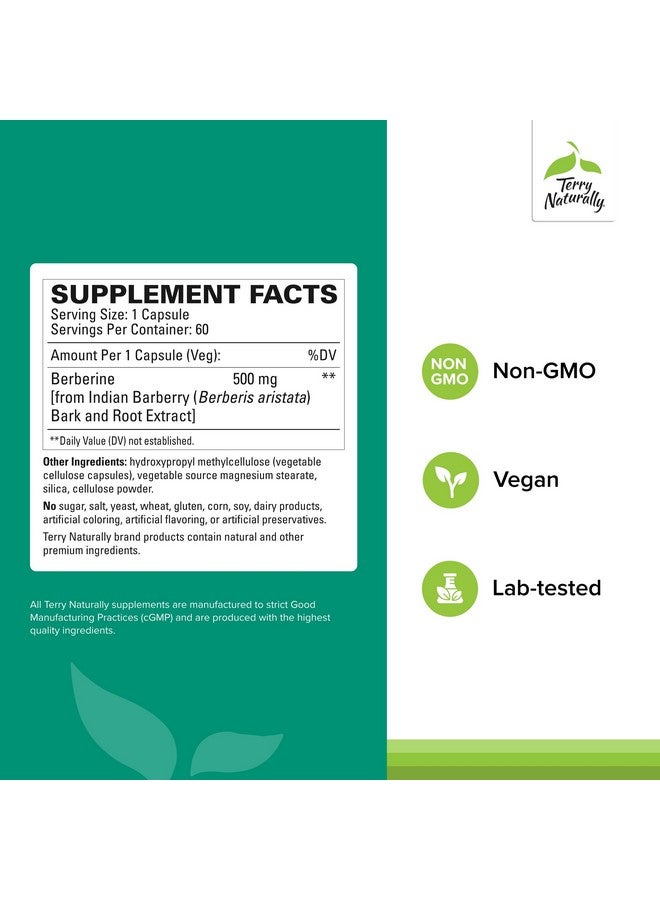 Terry Naturally Berberine - Dietary Supplement with Berberine - Liver Health Supplement for Metabolism Support - Joint Health Support for Men & Women - 60 Capsules (Pack of 2) - Image 2