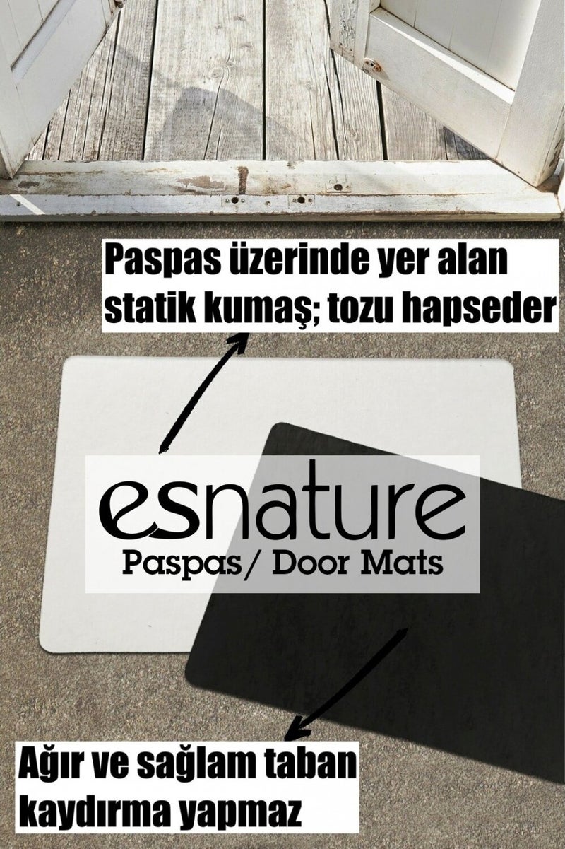 Esnature Doormat with Cat Pattern and Wipe Your Paws Written 45X70 cm  - Image 5