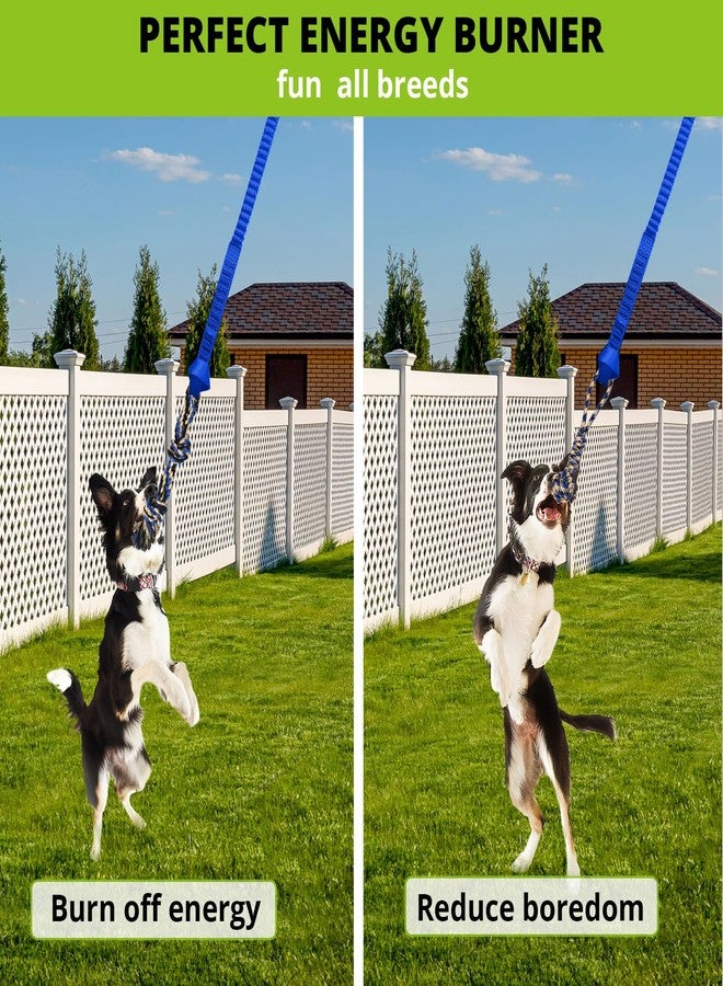 HOKINETY Dog Hanging Bungee Tug Toy: Interactive Tether Tug-of-War for Pitbull Small to Large Dogs to Exercise and Training Equipment - Outdoor Tree Tugger Dog Rope Toy with 2 Chew Rope Toys - Blue - Image 5