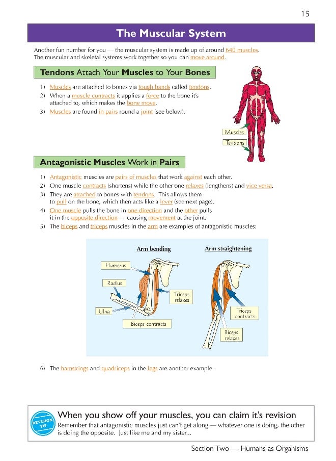 null - KS3 Science Complete Revision & Practice – Higher (includes Online Edition, Videos & Quizzes) - Image 1