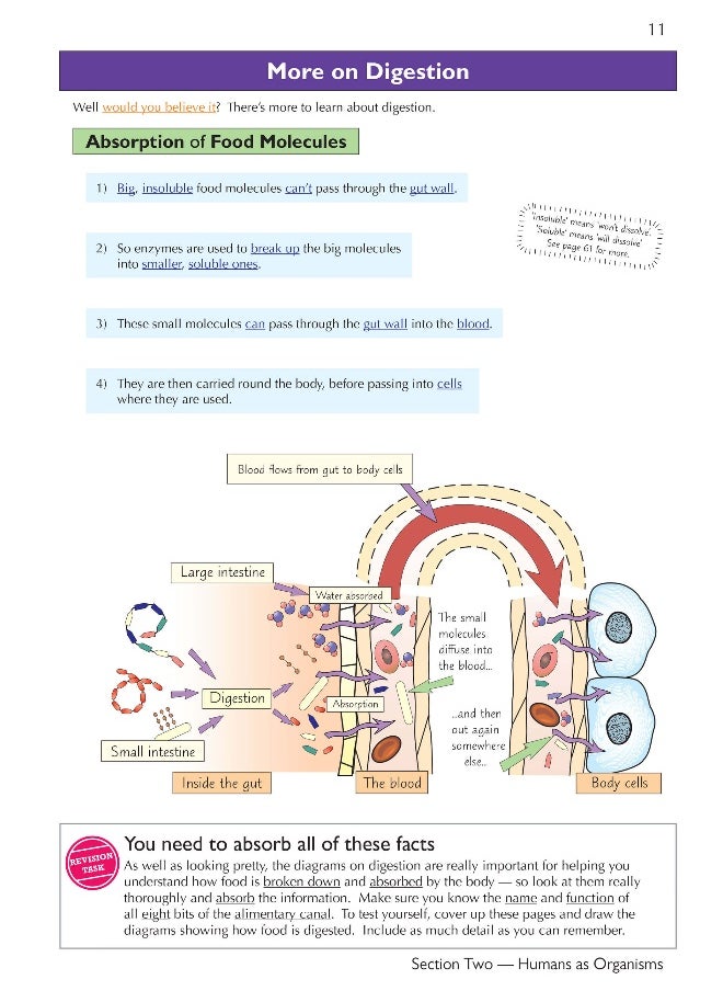 null - KS3 Science Complete Revision & Practice – Higher (includes Online Edition, Videos & Quizzes) - Image 1