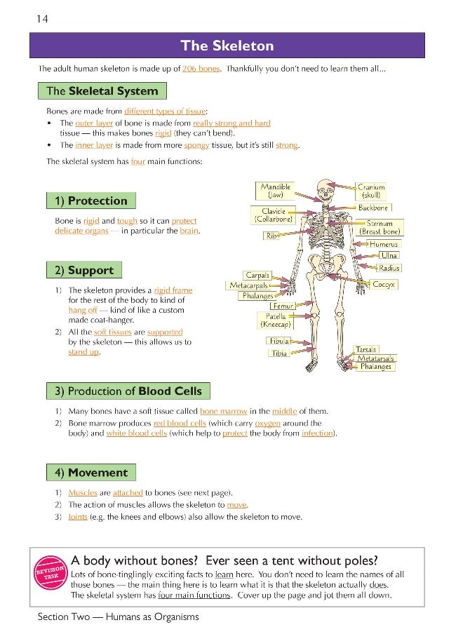 null - KS3 Science Complete Revision & Practice – Higher (includes Online Edition, Videos & Quizzes) - Image 1