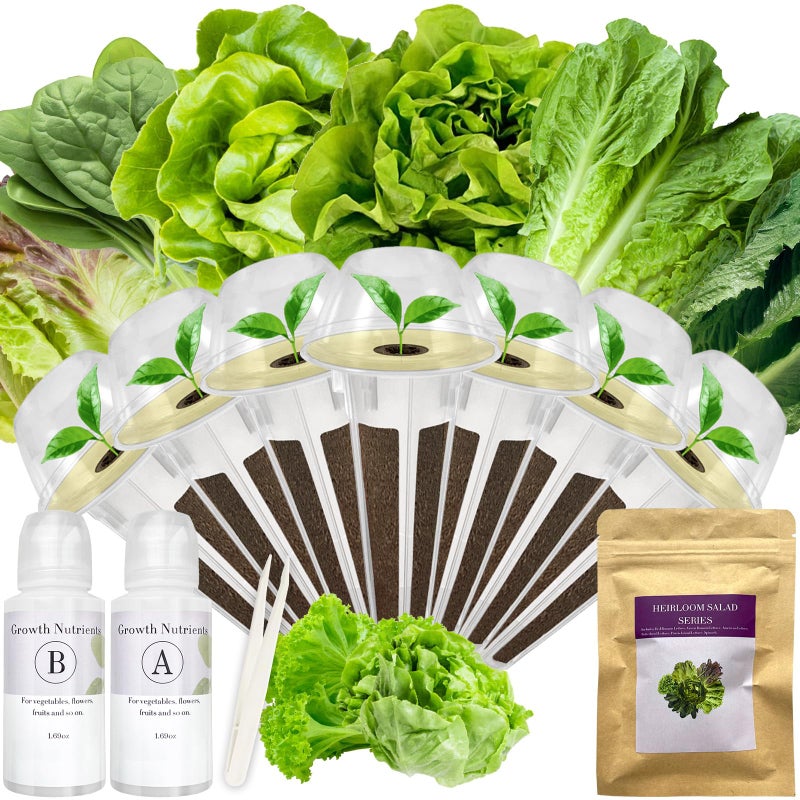 apoloseedic Salad Greens Seed Pod Kit for AeroGarden, iDoo with Red and Green Leaf, Romaine and American Fast, Buttercrunch, Parris Island Lettuce, Spinach - Compatible with All Hydroponics (7-Pod) - Image 1