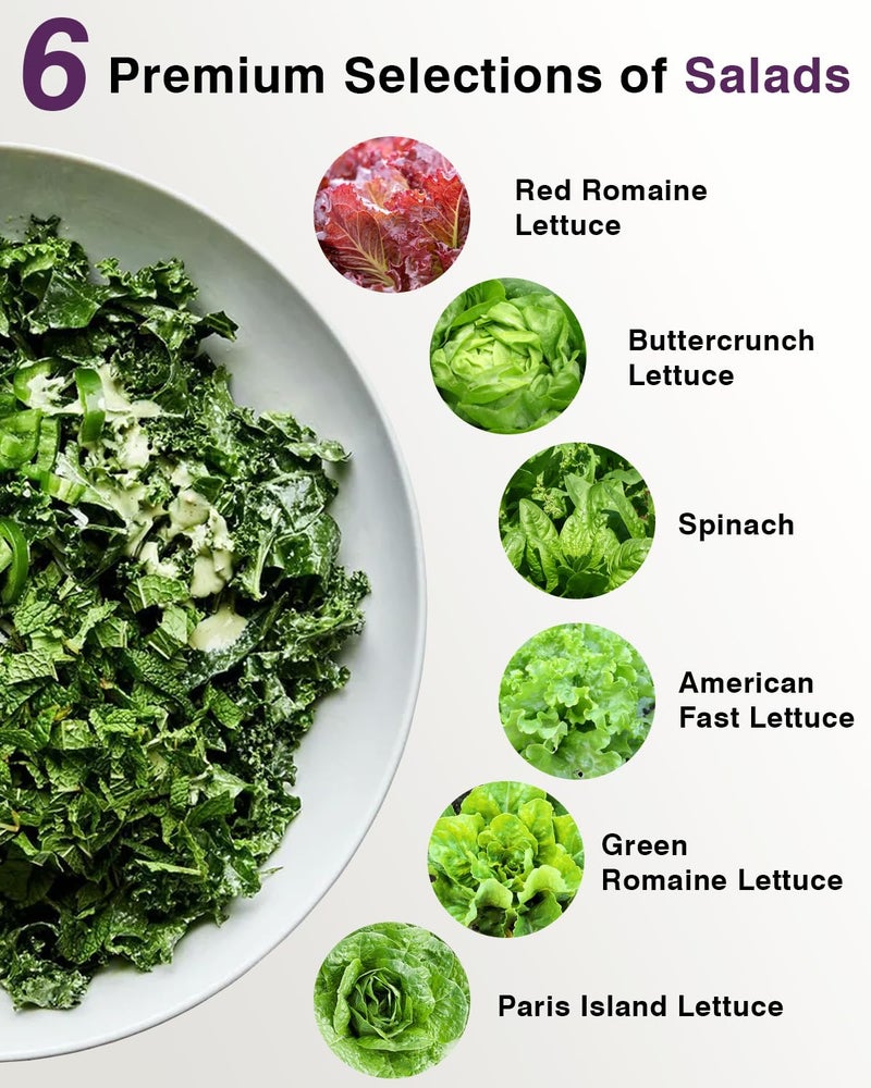 apoloseedic Salad Greens Seed Pod Kit for AeroGarden, iDoo with Red and Green Leaf, Romaine and American Fast, Buttercrunch, Parris Island Lettuce, Spinach - Compatible with All Hydroponics (7-Pod) - Image 2