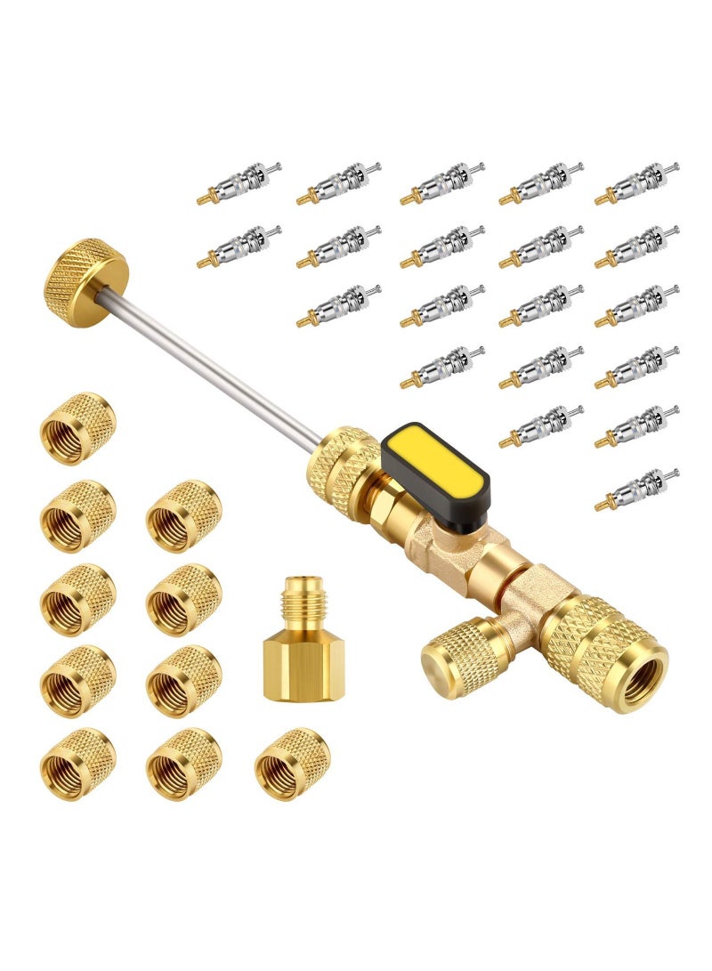 Valve Core Remover Installer Tool with Dual Size SAE 1/4 5/16 Port 20 PCS Cores Teflon Seal and 10 Brass Nuts Compatible R22 R12 R407 R410 R404 R32 R600 A/C  - Image 1
