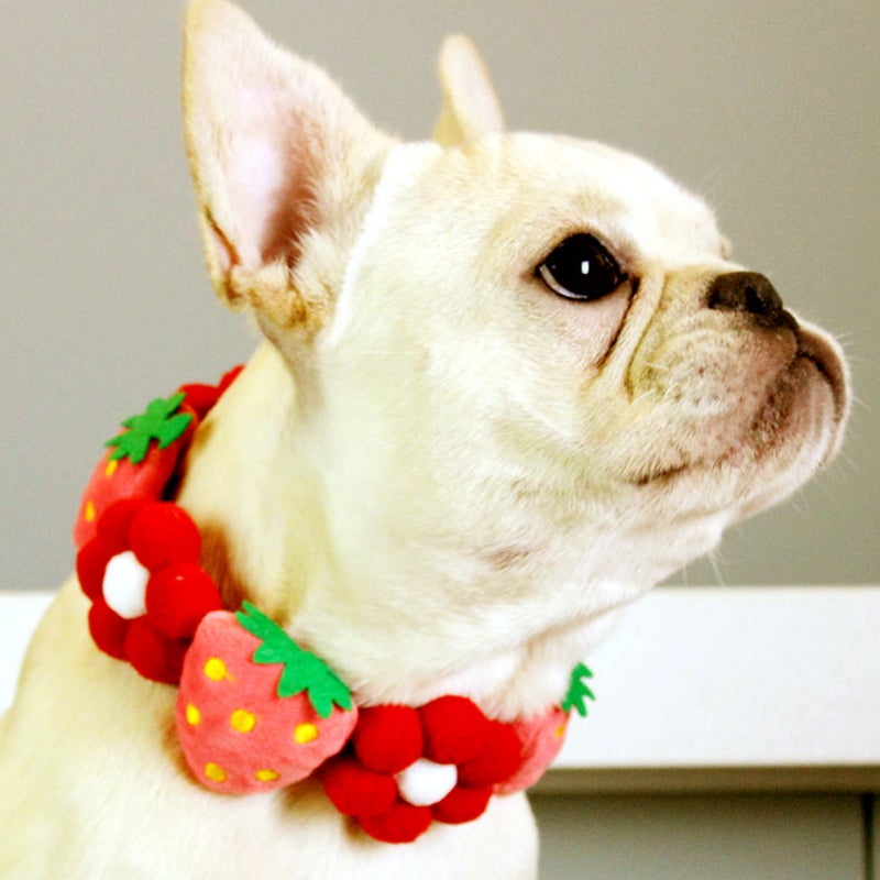 Dog Collar with Flower Strawberry Dog Collar Adjustable Dog Collar for Puppy - Image 1