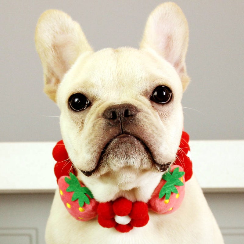 Dog Collar with Flower Strawberry Dog Collar Adjustable Dog Collar for Puppy - Image 5