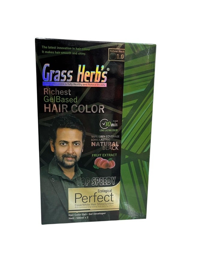 Grass Herbs Richest Gel Based Hair Color, Natural Black 1.0, 100% Grey Coverage, Long Lasting, Fruit Extract, 500ml x 2 - Image 2