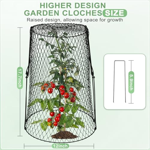 AugFir 5 Pcs 17.7" Tall Garden Cloches for Plants, 5.9" Long Legs Ground Stakes Plant Cages Stackable Storage, Rustproof Plants Chicken Wire Cloche Plant Protectors from Animals for Squirrels, Rabbits, Deers - Image 2