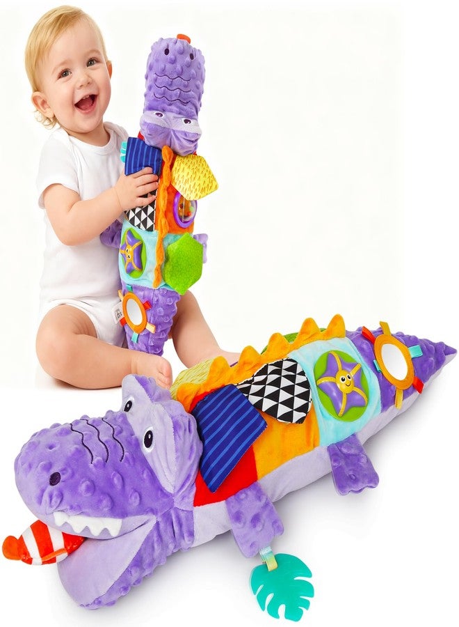 TSYAN Infant Baby Musical Stuffed Animal Activity Soft Toys,Infant Baby Musical Stuffed Animal Activity Soft Toys for Newborn Boys Girls - Image 1