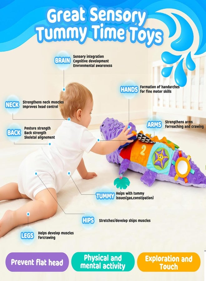 TSYAN Infant Baby Musical Stuffed Animal Activity Soft Toys,Infant Baby Musical Stuffed Animal Activity Soft Toys for Newborn Boys Girls - Image 4