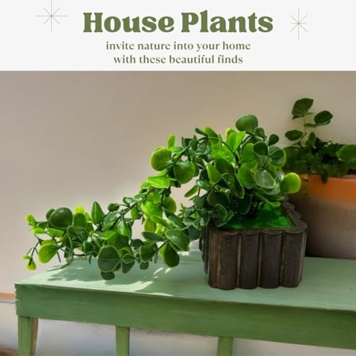 Ryme Pack of 3 Artificial Falling Plants Natural Look with Wooden Pot for Home Office Decoration - Image 3