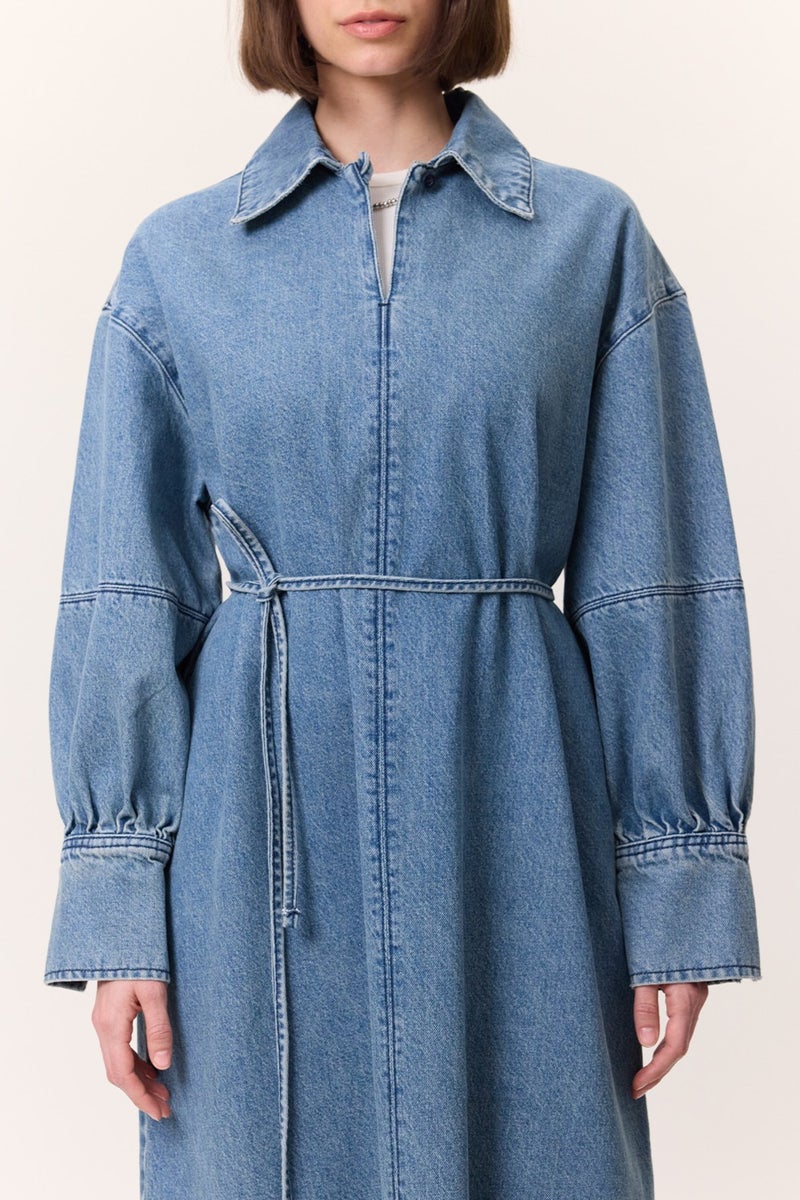 Manuka Denim Maxi Dress  - Image 3