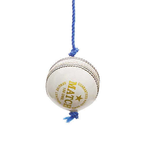 PSE Leather Cricket Ball, Standard, (White) - Image 2