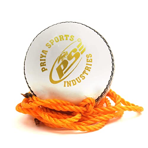 PSE Leather Cricket Ball, Standard, (White) - Image 1