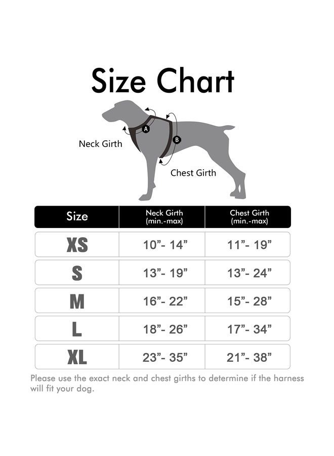 Rabbitgoo Dog Harness, No-Pull Pet Harness with 2 Leash Clips, Adjustable Soft Padded Dog Vest, Reflective No-Choke Pet Oxford Vest with Easy Control Handle for Small Dogs, Black, X-Small - Image 2