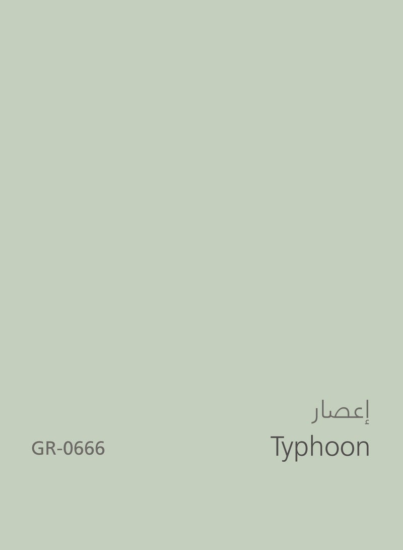 Jazeera Paints Green Interior Walls Paints Matt (color :Typhoon) 3L - Image 4