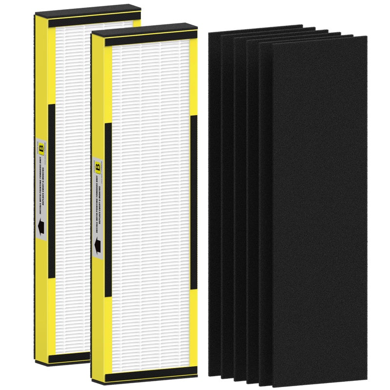 2 Packs FLT4825 HEPA Replacement Filter B Compatible with AC4825 AC4825E AC4300 AC4800 AC4900 AC4850 2 True HEPA Filters  6 Activated Carbon PreFilters