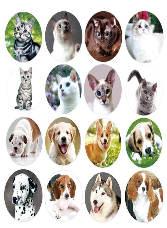 Hohamn Dog and Cat Stickers for Kids Teachers,1000 Pcs Dog Cat Design Stickers for Kids Birthday Party, School Reward, Giveaways - Image 1