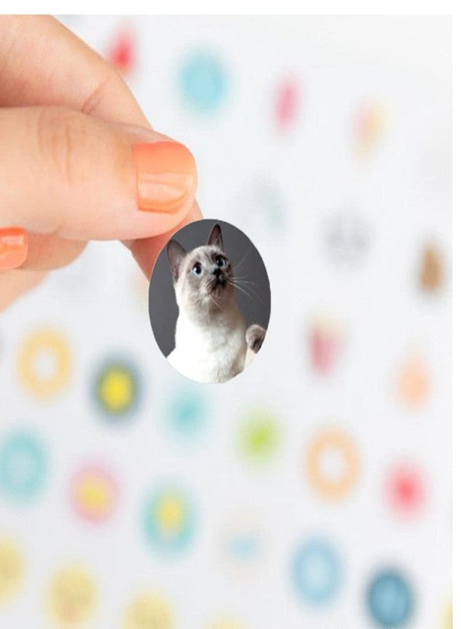 Hohamn Dog and Cat Stickers for Kids Teachers,1000 Pcs Dog Cat Design Stickers for Kids Birthday Party, School Reward, Giveaways - Image 4