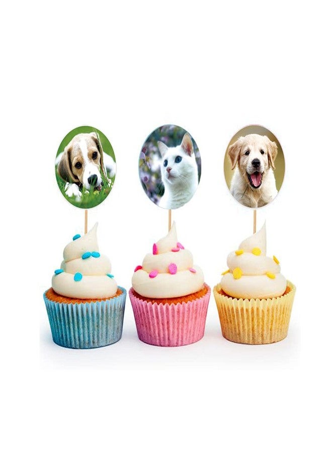 Hohamn Dog and Cat Stickers for Kids Teachers,1000 Pcs Dog Cat Design Stickers for Kids Birthday Party, School Reward, Giveaways - Image 5