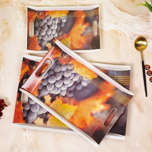 UPC Tray Set for Serving/Serving Tray Set of 3/ Premium Printed Tray for Serving/Multi-Use Nashta Plate (Small, Medium & Large) - Image 2
