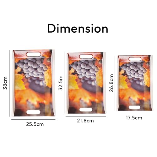 UPC Tray Set for Serving/Serving Tray Set of 3/ Premium Printed Tray for Serving/Multi-Use Nashta Plate (Small, Medium & Large) - Image 5
