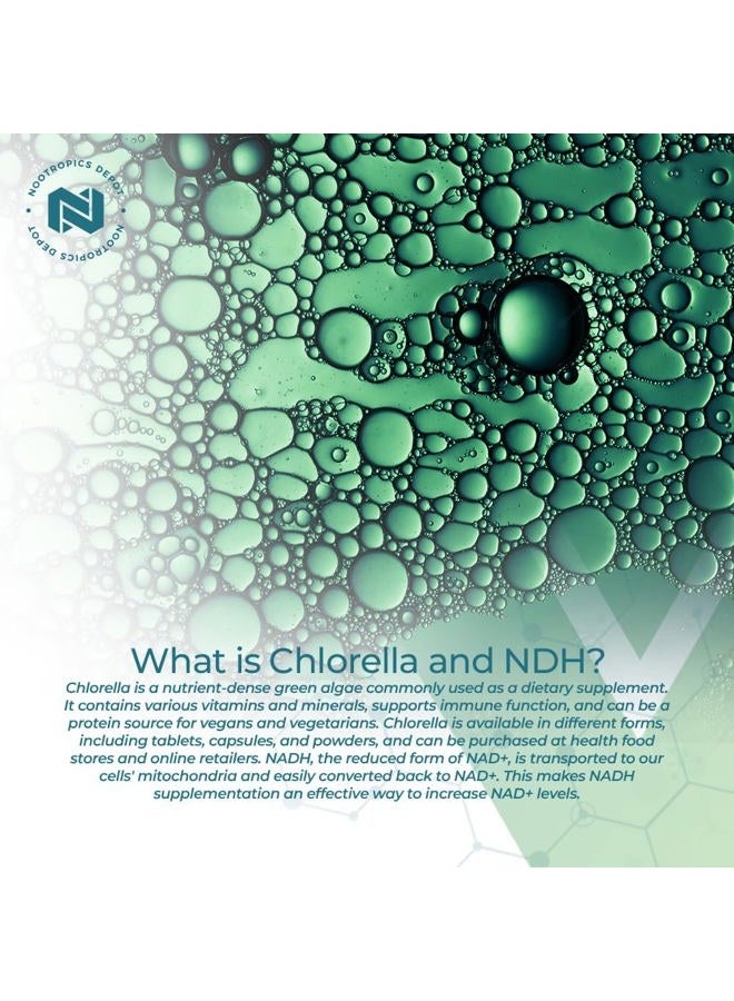 Nootropics Depot NADH + Chlorella vulgaris (Broken Cell) 400mg Capsules | Nicotinamide Adenine Dinucleotide 20mg | Chlorophyll 10mg | Energy, Alertness, Mental Clarity & Healthy Aging, 30 Count - Image 4