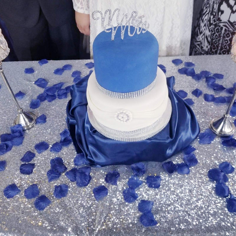 Neo LOONS 1000 Pcs Artificial Silk Rose Petals Decoration Wedding Party Color Sapphire Blue - Image 5
