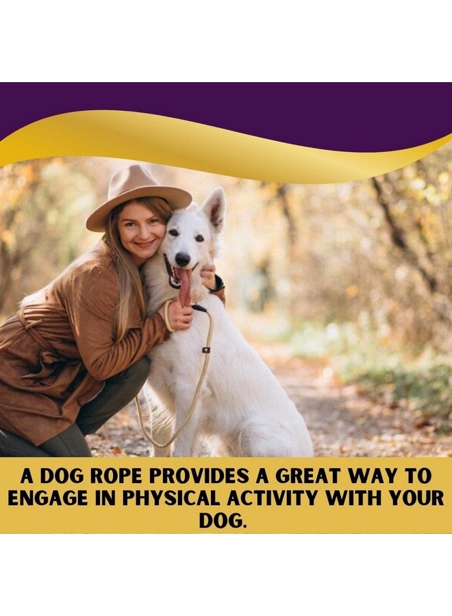 سايج سكوير سلسلة حبل قوية للكلاب من Sage Square | سلسلة متينة من النايلون المريح | مقود للمشي بخطاف قوي | للكلاب الكبيرة | عبوة من قطعة واحدة (قد يختلف اللون) (9 مم) - Image 5