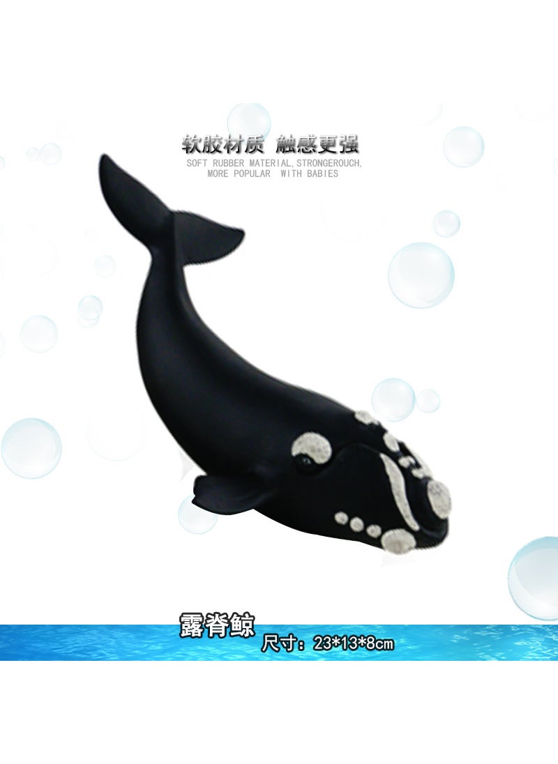Soft Rubber Ocean Model Dinosaurs Toy Brachiosaurus Tyrannosaurus Shark Animal Figurine Holiday Gift Educational Collectible right whale 
