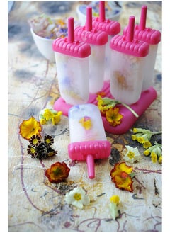 Beelicious: Seasonal Recipes and Wellness Journal  - Image 1
