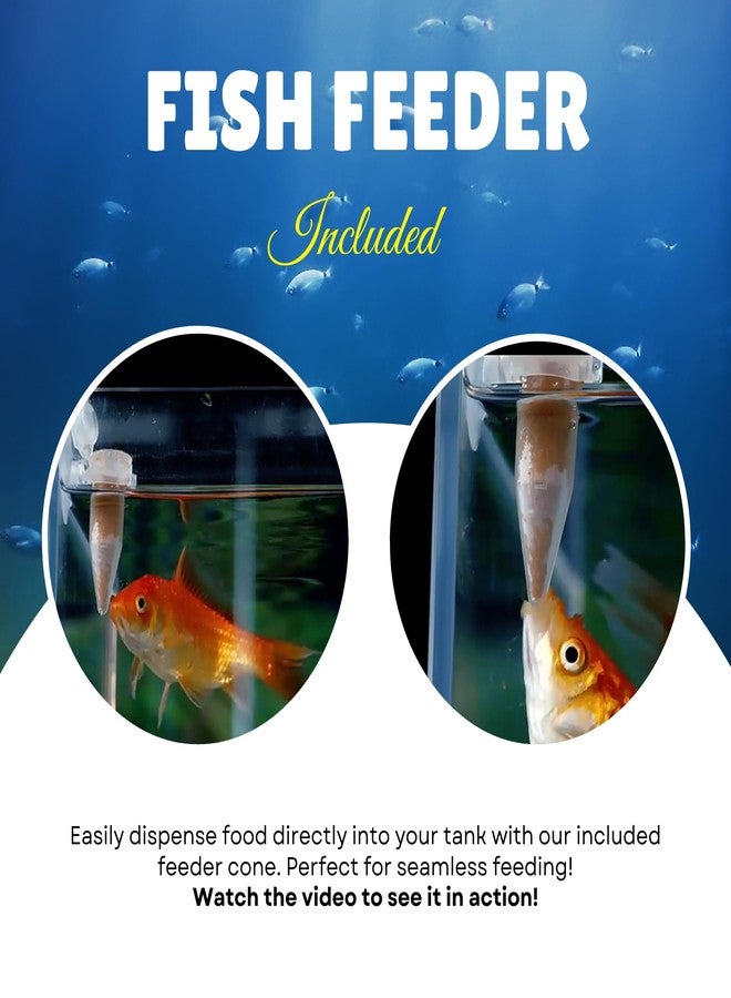 MorexLab Decapsulated Brine Shrimp Eggs (Non-Hatching) - High Protein Natural Food for Fish, Fry, Corals, Freshwater & Marine Tanks - 100% Natural Artemia Nauplii (12 OZ (340 gram)) - Image 5