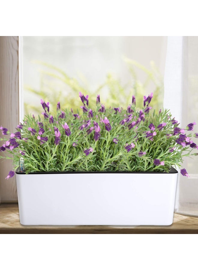 Fasmov Fasmov 2 Pack Rectangle Self Watering Planter with Water Level Indicator 16x 55 Inch Window Gardening Box Decorative Planter Pot for All House Plants Flowers Herbs Decorative Planter Pot  - Image 5
