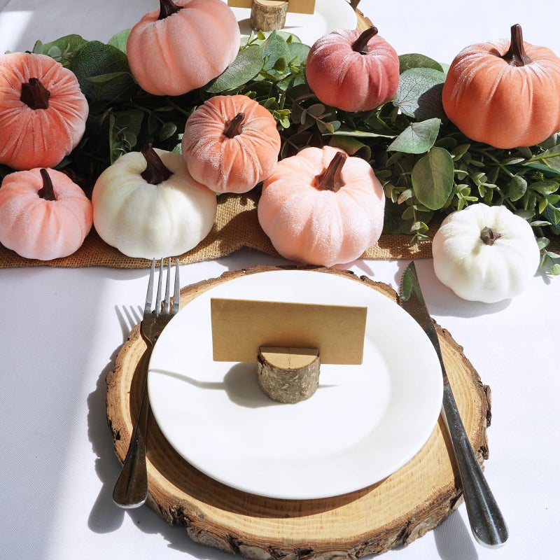 Winlyn Winlyn 16 Pcs Assorted Artificial Velvet Pumpkins Blush Coral Pink Peach Cream Decorative Fabric Pumpkins Foam Pumpkins for Fall Wedding Baby Shower Thanksgiving Pastel Halloween Wreath Table D?cor  - Image 4