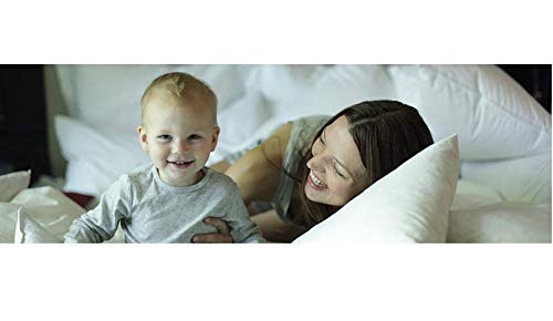 ABM UNLIMITED ABM UNLIMITED Premium Washable Extra Weight 100 Australian Wool Comforter  - Image 3