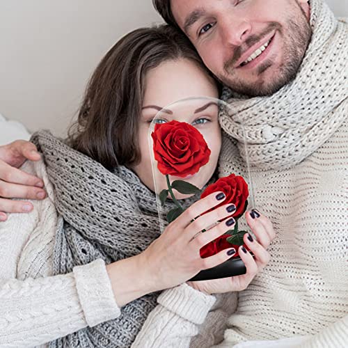 AINYROSE Gifts for Women Forever Preserved Red Rose,Birthday Valentines Day Gift with Red Eternal Flower in Glass Dome,Gifts for Valentine's Day Mothers Day Christmas Anniversary Birthday (#red) - Image 3