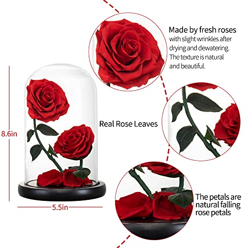AINYROSE Gifts for Women Forever Preserved Red Rose,Birthday Valentines Day Gift with Red Eternal Flower in Glass Dome,Gifts for Valentine's Day Mothers Day Christmas Anniversary Birthday (#red) - Image 5