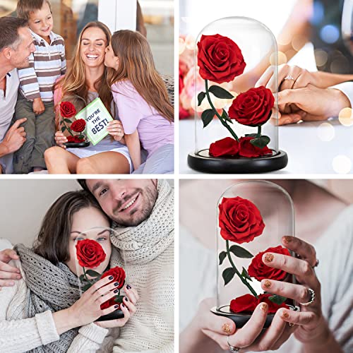 AINYROSE Gifts for Women Forever Preserved Red Rose,Birthday Valentines Day Gift with Red Eternal Flower in Glass Dome,Gifts for Valentine's Day Mothers Day Christmas Anniversary Birthday (#red) - Image 4