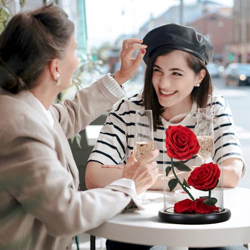 AINYROSE Gifts for Women Forever Preserved Red Rose,Birthday Valentines Day Gift with Red Eternal Flower in Glass Dome,Gifts for Valentine's Day Mothers Day Christmas Anniversary Birthday (#red) - Image 2