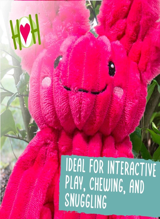 HuggleHounds لعبة HuggleHounds X-Brace الصريرية للكلاب - ألعاب تفاعلية للكلاب الكبيرة لإبقائها مشغولة، مستلزمات الحيوانات الأليفة، دمية جرو ناعمة ولطيفة تصدر صوت صرير، دمية متينة - جيلي أكسولوتل، كبير - Image 3