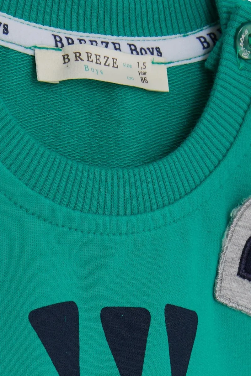 بريز Boy's Tracksuit Set with Koala Embroidery, Age 1-4, Green