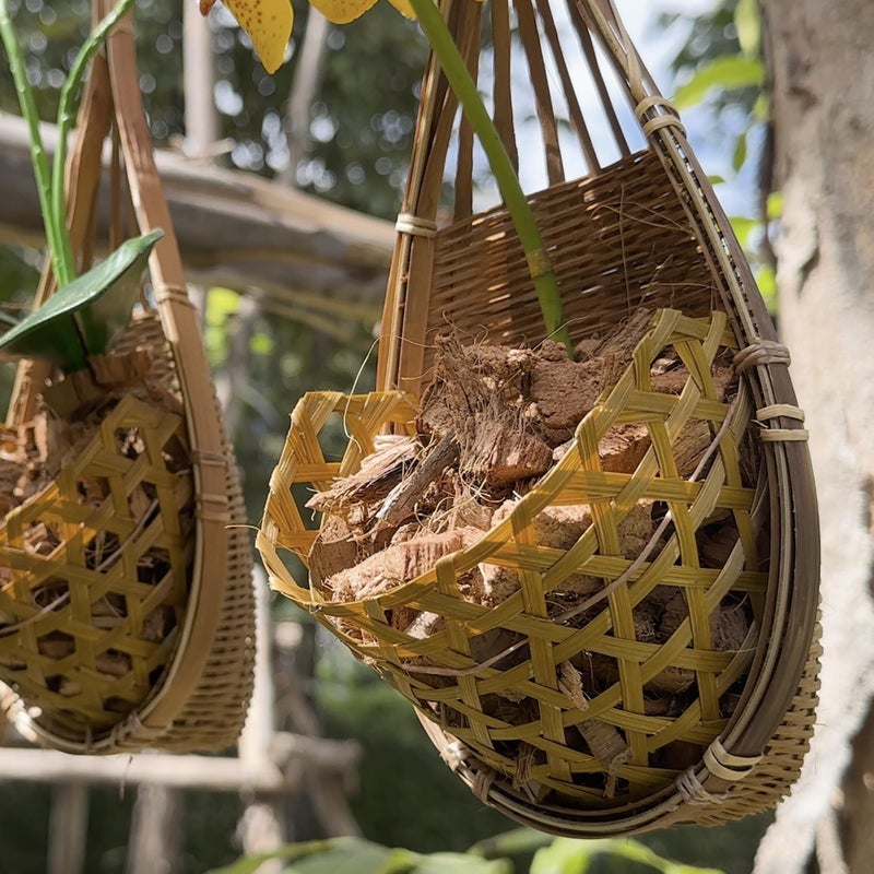 PANWA Handmade 100% Thai Bamboo Hanging Orchid Basket â€“ 4 Inch Set of 3 â€“ Easter Gift Idea & Spring Seasonal Decoration - Image 5
