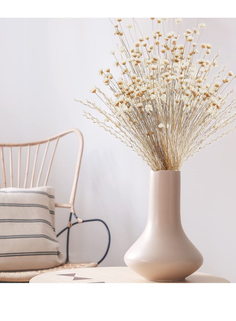 Y&D Natural Dry Flowers Brazilian Small Star Daisy Dried White Decorative Mini Chamomile Bouquet for Wedding Floral Arrangements Home Decorations (200Pcs) - Image 2