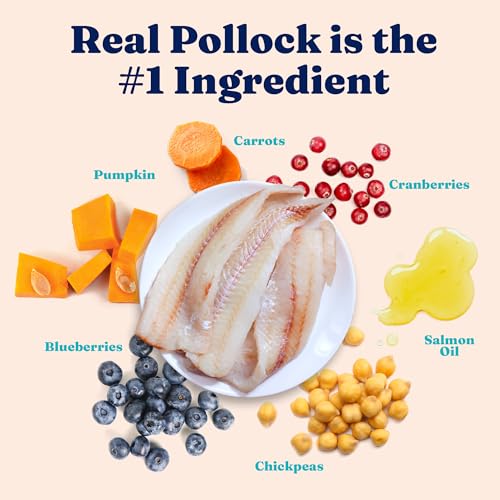 Solid Gold Weight Management Cat Food for Adults - Grain Free & Gluten Free Dry Cat Food Indoor & Outdoor Recipe for Healthy Weight w/Alaskan Pollock & Probiotics for Gut Health & Digestion - 3 LB - Image 3