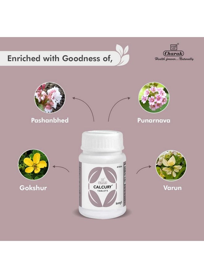 Charak أقراص تشارك كالكوري - علاج عشبي لتسهيل مرور حصوات المسالك البولية (عبوة من 3) - Image 3